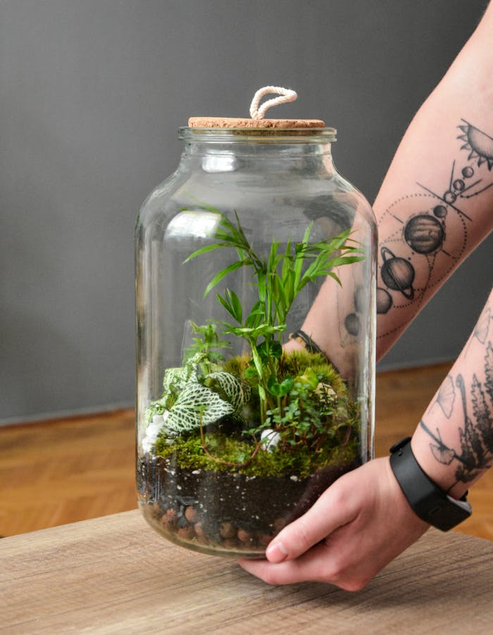 Close-up of a hand holding a lush green terrarium in a glass jar indoors.